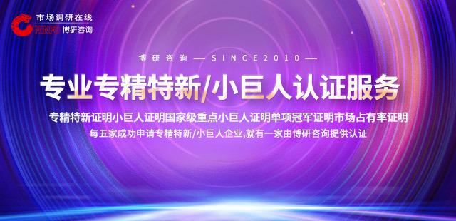 国游戏机行业市场行情监测及发展趋向研判报告AG真人游戏平台入口2024-2030年中(图1)